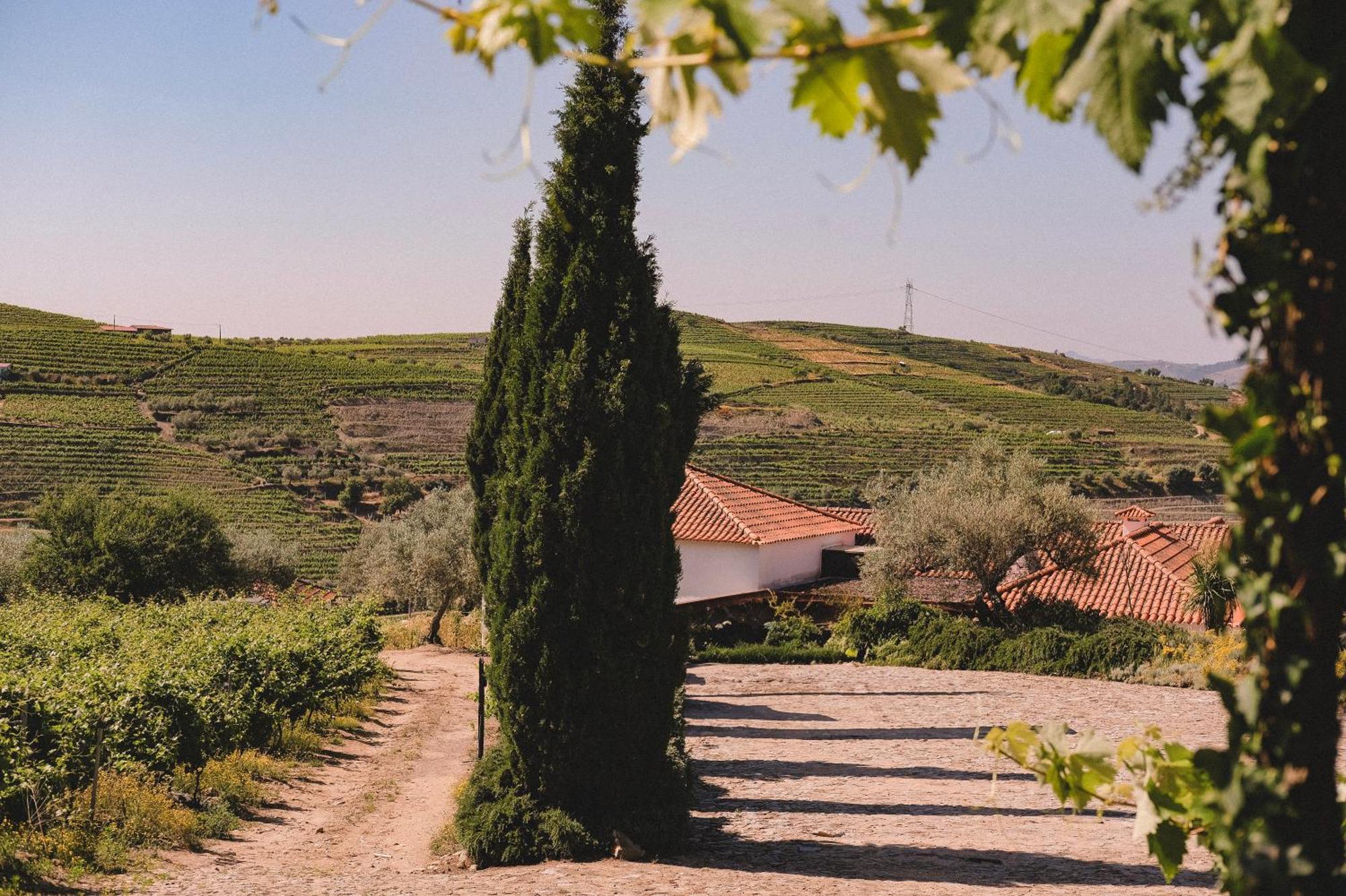 فندق Casal De Tralhariz - Turismo De Habitacao المظهر الخارجي الصورة