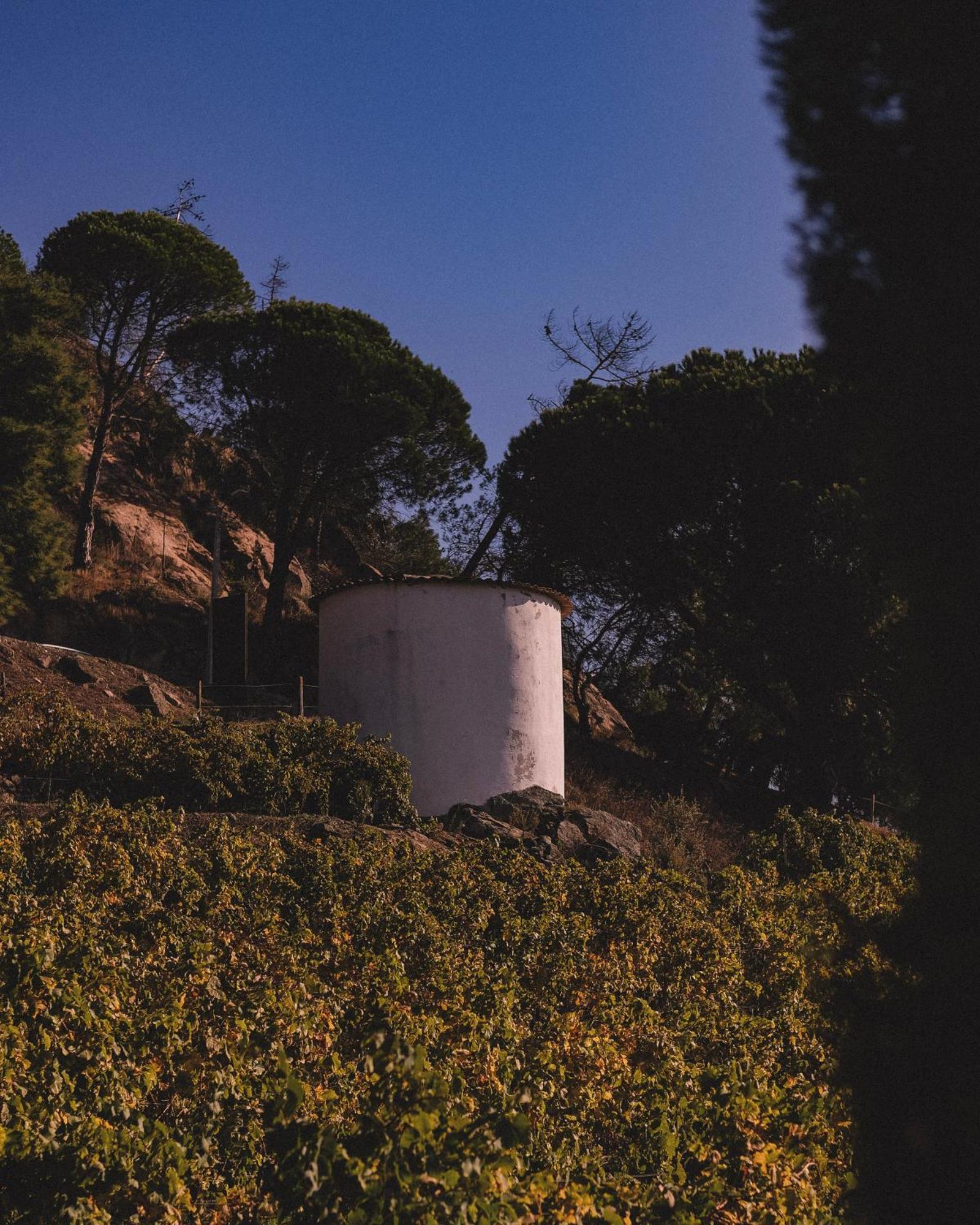 فندق Casal De Tralhariz - Turismo De Habitacao المظهر الخارجي الصورة